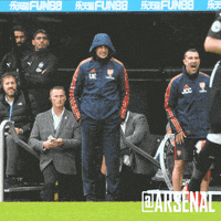 arsenal football soccer celebration passion GIF