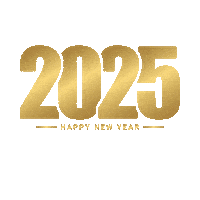 Happy New Year Ano Novo Sticker by Protmax