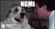 Dog Crypto GIF by ProBit Global