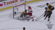 celebrate ice hockey GIF by NHL