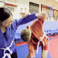 Martial Arts Fighting GIF by Ansheles
