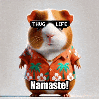 Sports Recreation GIF by Guinea Gambino