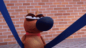 superprod funny dog ski pat GIF
