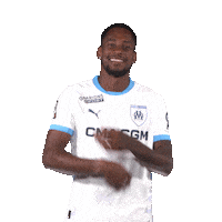 Ligue 1 Football Sticker by Olympique de Marseille