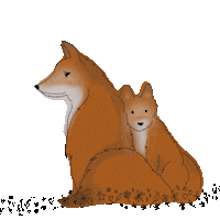 Fox Zorro Sticker