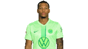 Football Thumbs Up Sticker by VfL Wolfsburg