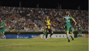 Usl Championship Goal GIF by Charleston Battery