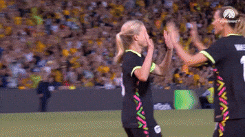 Emily Van Egmond Celebration GIF by Football Australia