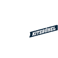VerticalUP verticalup Sticker
