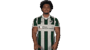 Preußen Münster Vbl Sticker by Bundesliga