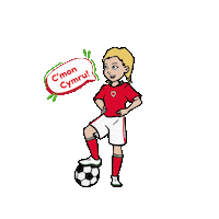 Euros Eisteddfod Sticker by Bro360