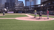Queen City Baseball GIF by Homer the Dragon