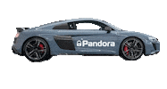 Ghost Driving Sticker by Pandora Car Alarms