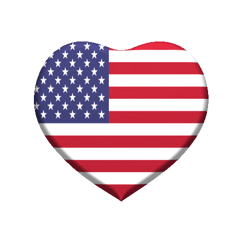 American Flag Love Sticker by Omer Studios