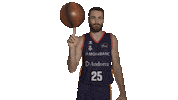 Liga Endesa Basketball Sticker by ACB