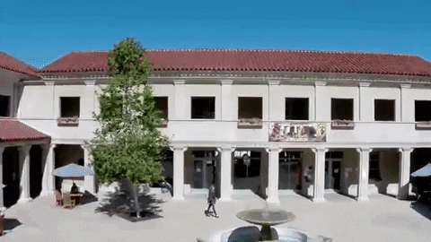 bullaye2 giphygifmaker pomona GIF