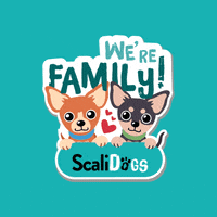 Dog Chihuahua GIF by Scalidogs
