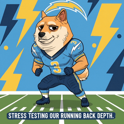 Shiba Inu Football GIF by Doge Pound