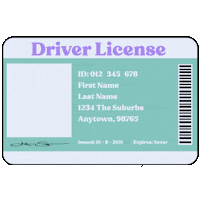 PettyBrunetty happy sad car colorful Sticker