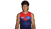 Cycling Helmet Sticker by Melbournefc