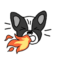 happy fun Sticker by Ivo Adventures