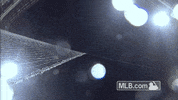 GIF by MLB