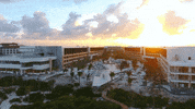 Luxury Hotel GIF by PalladiumHotelGroup
