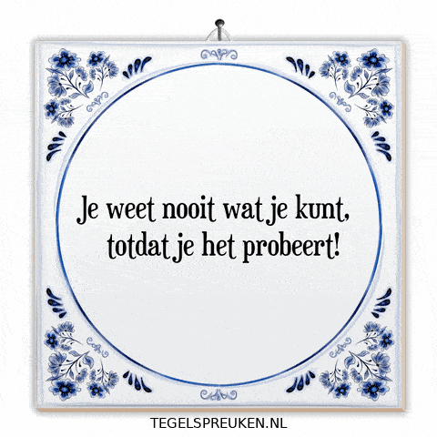 Humor Nl GIF by Tegelspreuken.nl