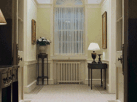 wtf GIF by franceinfo