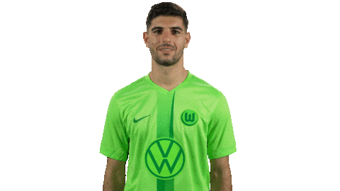 Football Applause Sticker by VfL Wolfsburg