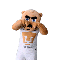 Soccer Crying Sticker by Pumas MX