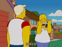 homer simpson episode 20 GIF