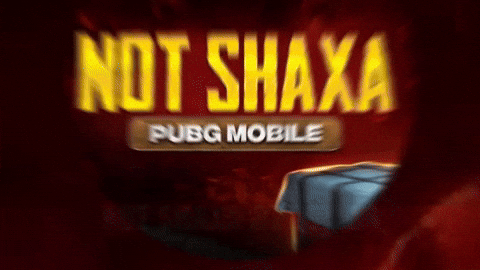 Not Shaxa GIF