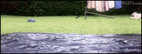 Yo Hello GIF