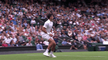 Celebrate Centre Court GIF by Wimbledon