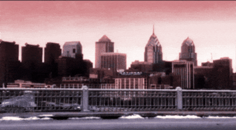 crckpO3t giphygifmaker elephant seven monkeys escaped zoo GIF