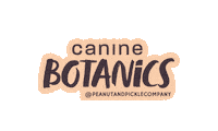 Dog Shampoo Sticker by Peanut and Pickle