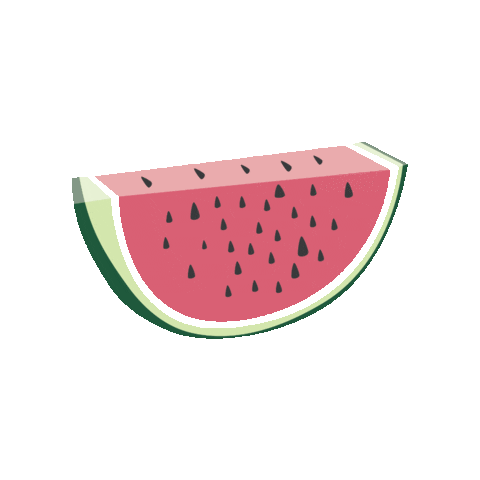WatermelonCatering giphyupload watermelon watermelon catering watermeloncatering Sticker