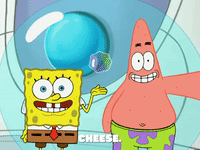 season 5 GIF by SpongeBob SquarePants