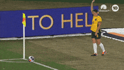 Celebration Goal GIF by Football Australia