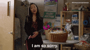 Apologize Andrea Bang GIF by Kim's Convenience