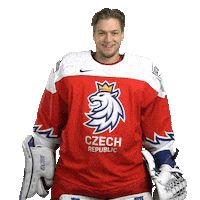 Celebration Hockey Sticker by Národní tým