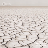 Desert GIF by PBS