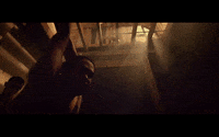 hip hop GIF by Universal Music Africa