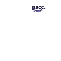 I Got This Shopping Sticker by paywithpace