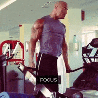 the rock focus GIF