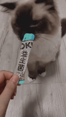 f1137c7cfccd494aad759d24e5198f51 giphyupload GIF