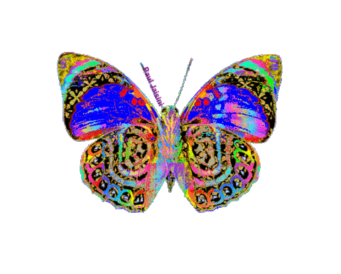 Inspired Butterfly Sticker by Re Modernist