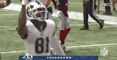 Regular Season Football GIF by NFL