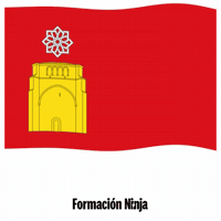 Flag Spain GIF by Formación Ninja